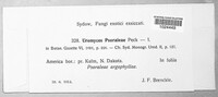 Image Associated With the Occurence